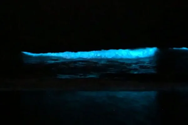 Qué son las luces que se observan en el mar de Pinamar y Villa Gesell