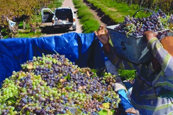 Desde UATRE La Rioja y Catamarca buscaron acordar valores para las cosechas 2023/2024