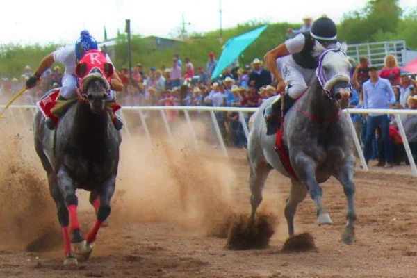 Se suspenden las carreras de caballos por un brote de encefalomielitis