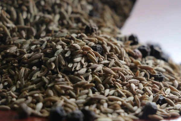 Adiós al estreñimiento: las semillas ricas en fibra que mejoran la digestión
