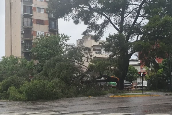 Temporal de lluvia y viento en Buenos Aires: inundaciones, destrozos y caídas de árboles