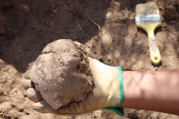 Docentes y alumnos encontraron restos óseos con 800 años de antigüedad