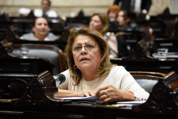 Hilda Aguirre sobre el DNU de Milei: “Es un avasallamiento a la democracia”