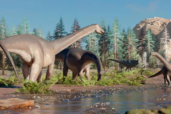 El Conicet halló una nueva especie de dinosaurio herbívoro de cuello largo