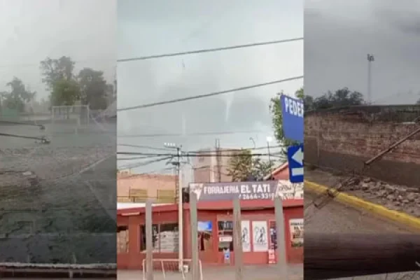 Fuerte temporal en San Luis: árboles caídos, techos destrozados y calles inundadas