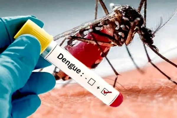 Dengue: aumentaron un 60% los casos de dengue y Córdoba está entre las 10 provincias con mayor suba