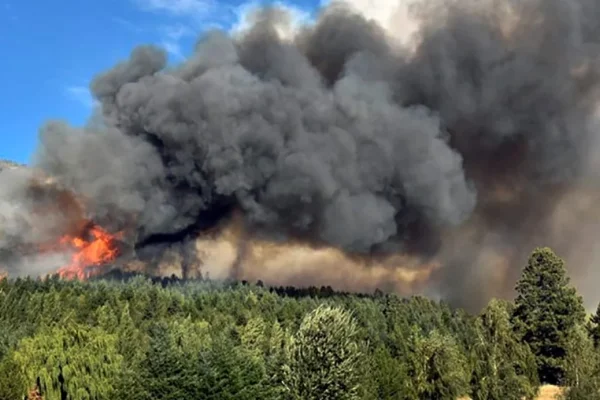 Chubut: incendio en Parque Los Alerces está fuera de control y ya arrasó 65 hectáreas