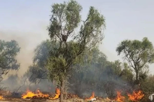 Alerta por un incendio forestal en los Llanos