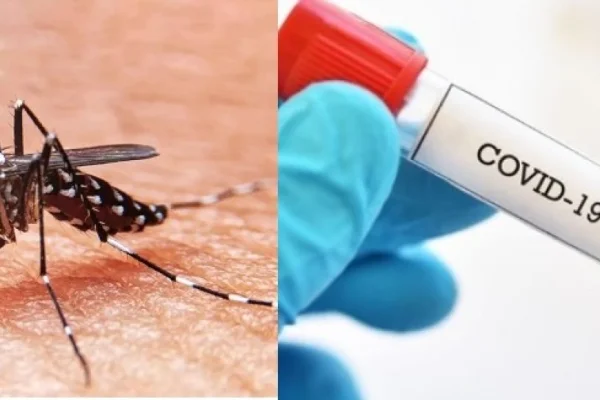 Preocupación por sostenido aumento de casos de Covid y Dengue