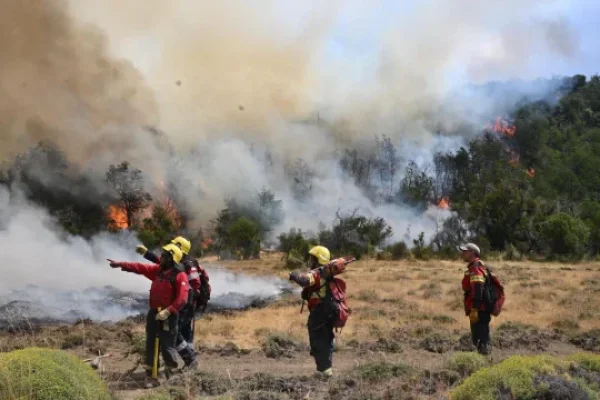 Los incendios en Los Alerces y Nahuel Huapi 