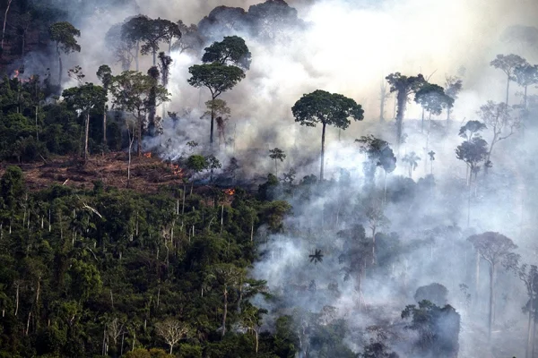 Los incendios en el Amazonas generaron un récord de emisiones de gases en Sudamérica