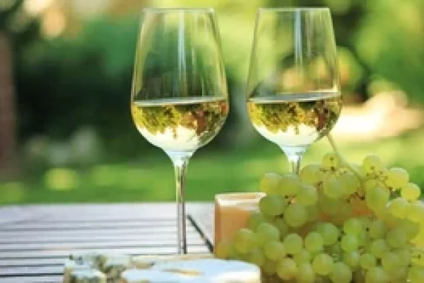 El vino riojano entre los productos argentinos que marcó un récord en el número de exportaciones