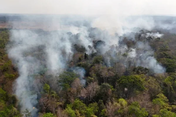 Voraces incendios en el norte de la Amazonia logran un récord lamentable