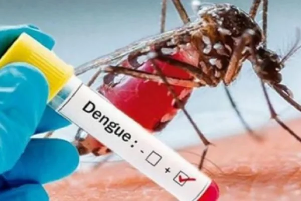 Fallecieron otras 5 personas por dengue y ya son 46 muertos en todo el país
