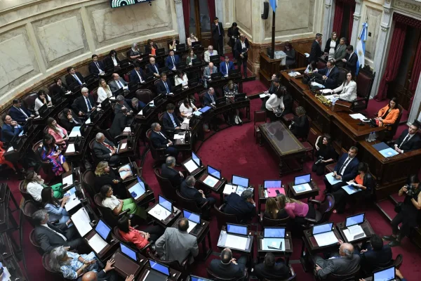 Senado: la oposición logró quórum para tratar el DNI de Milei