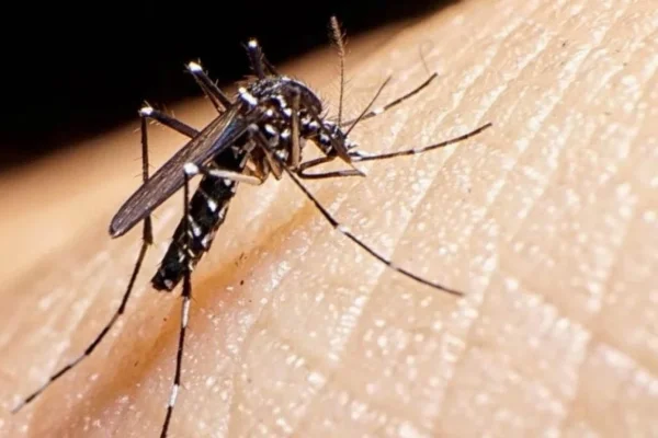 El Gobierno Provincial refuerza la prevención del dengue en Sanagasta