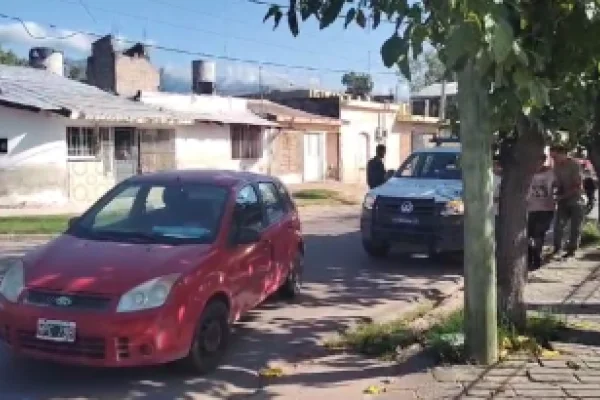 Un trabajador fue picado por un enjambre de abejas y se descompensó