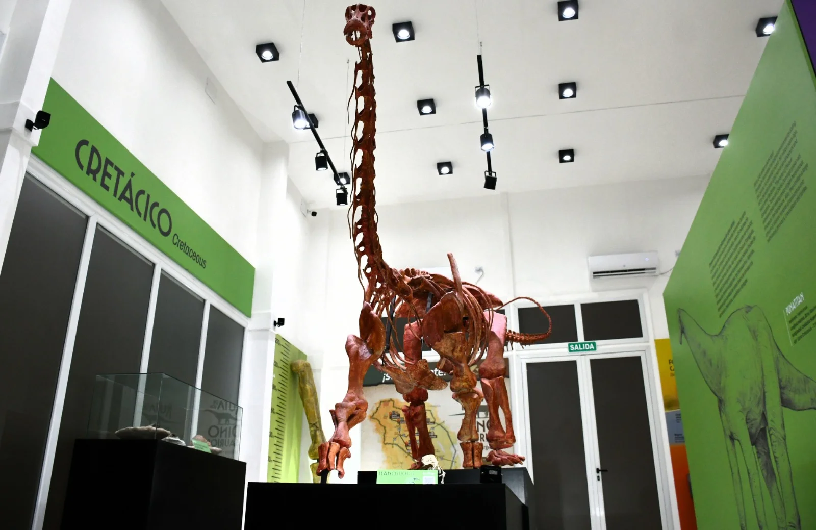 Sala temática. Una visita a la tierra de los dinosaurios. Sala temática. Una visita a la tierra de los dinosaurios.