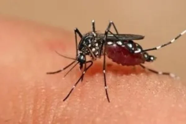 Catamarca: Adolescente de 13 años falleció tras contraer dengue