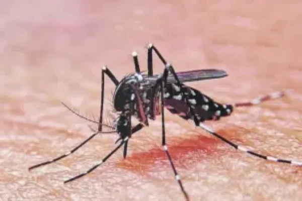 El dengue se cobró otra víctima en La Rioja
