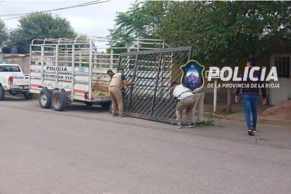 Insólito: malvivientes robaron un portón de hierro de una casa