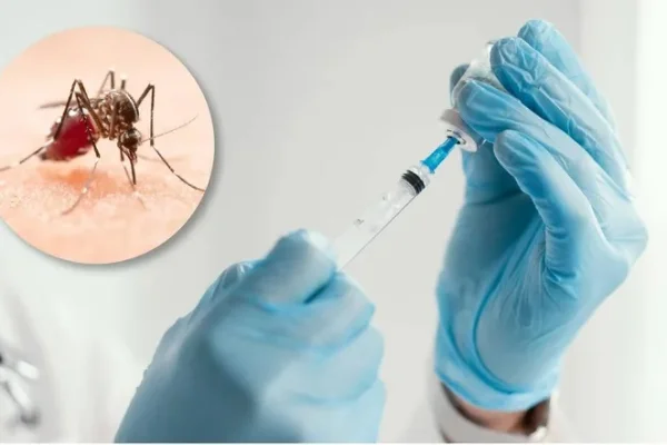 La Rioja comprará vacunas contra el dengue