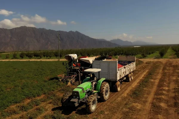 Agroandina alcanzó en abril el mismo récord de cosecha logrado en 2023
