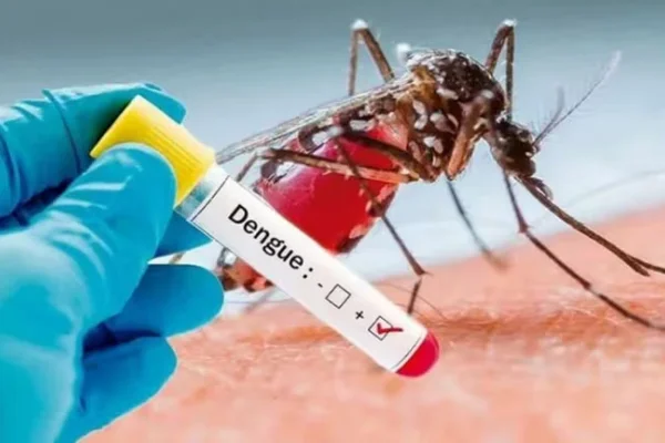 Brote histórico de dengue en Argentina: ya son 161 los muertos y más de 230 mil casos registrados