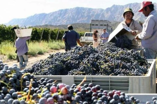 COVIAR acentúa acciones para desarrollar la cadena vitivinícola