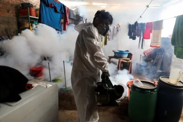 Dengue: en Perú los casos se triplicaron