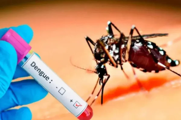 Dengue: 269 mil casos y 197 muertos desde octubre pasado