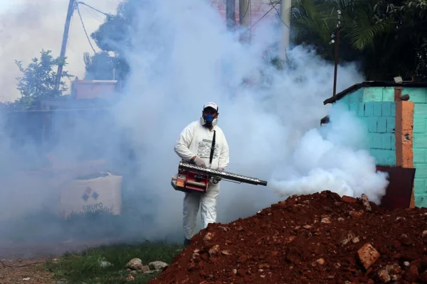 Situación sanitaria por Dengue: La Rioja reportó364 nuevos casos