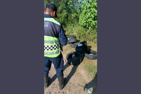 Conductor transportaba ilegalmente neumáticos hacia la provincia de La Rioja