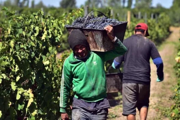 Destacan a la vitivinicultura como gran generadora de trabajo en el agro