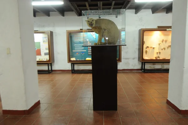 La Universidad de La Plata pone en valor el Museo Samay Huasi