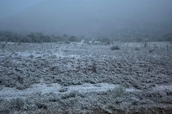 Nevó en Pampa de la Viuda