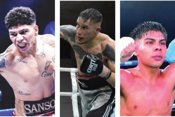 Boxeo: Tres riojanos presentes en el ranking nacional