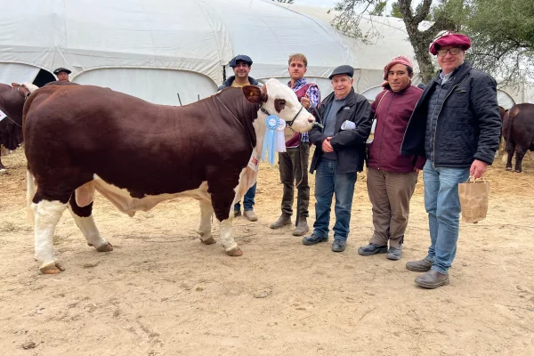 Kayne ganó el Campeonato Junior de la Expo Nacional Braford