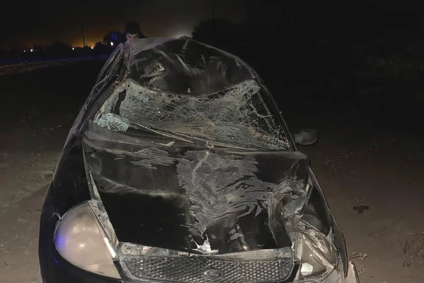 Un hombre resultó herido al chocar contra un animal en ruta 74