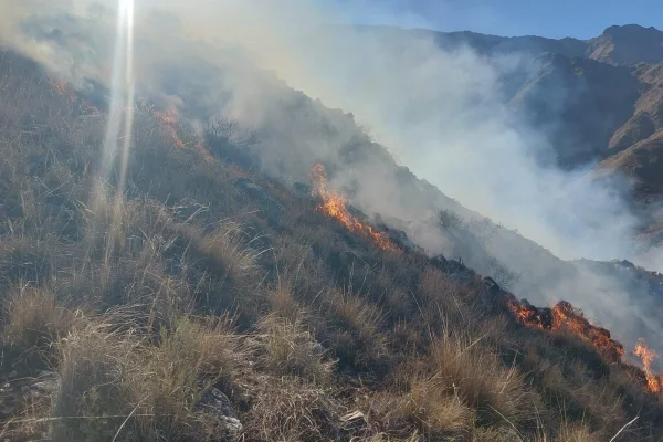 Incendio forestal arrasa en la ladera del Famatina