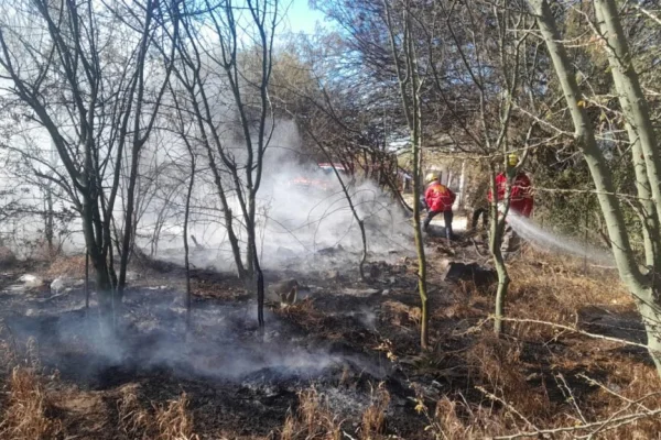 Tres incendios forestales fueron controlados en las últimas horas en Capital
