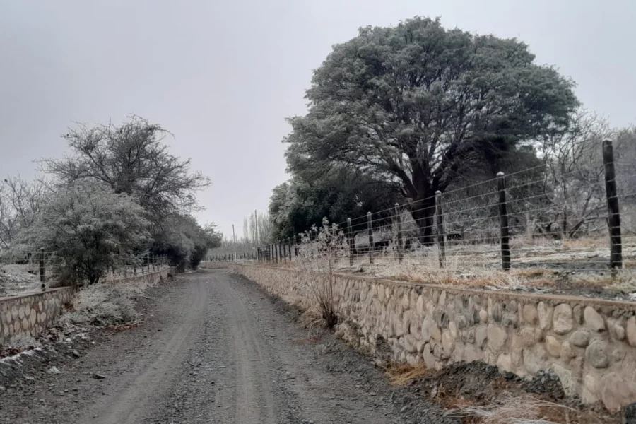 La nieve llegó a Famatina