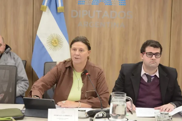 Diputada Pedrali: “El Pacto de Mayo fue vende patria y vacío de contenido”