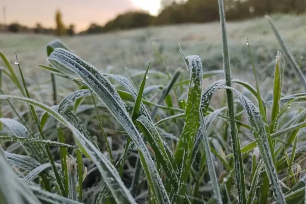 Continúan las temperaturas bajo cero en La Rioja