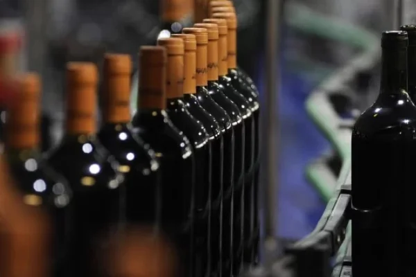 Venta de vinos en Argentina: cayó 4,6% en el primer semestre del 2024