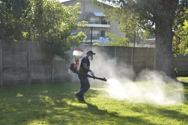 Dengue: recomiendan cuidados en invierno