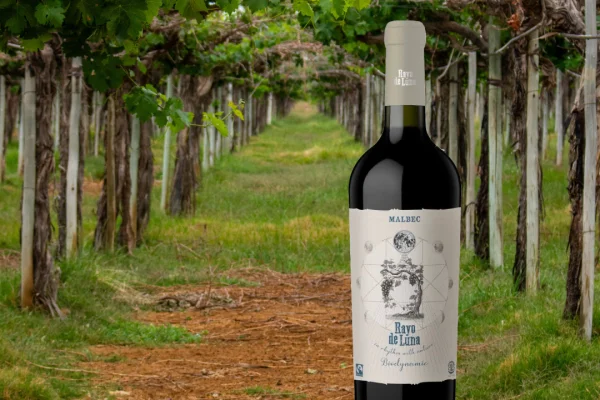 Vinos Biodinámicos: Un faro de tradición y calidad