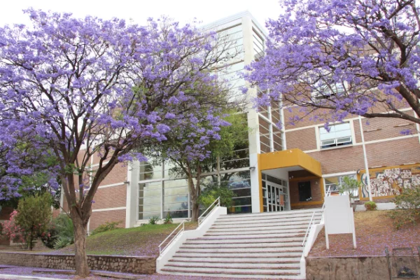 Docentes Universitarios inician hoy un paro por 72 horas