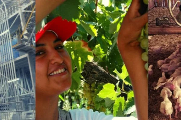 Debaten en Chilecito líderes de 59 cooperativas agrícolas de 10 provincias argentinas