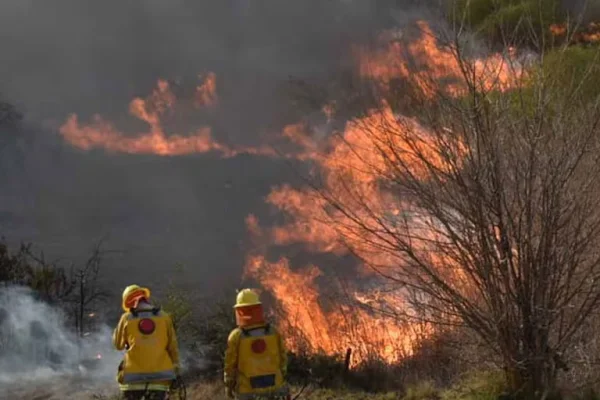 Incendio en Cerro El Velasco: Efectos, impactos y perspectivas ambientales